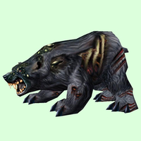 Diseased Black Bear