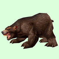 Dark Brown Bear