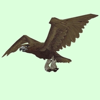 Brown Falcon