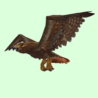 Russet Hawk