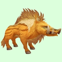 Yellow Boar