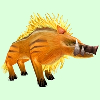 Classic Yellow Boar