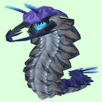 Purple Tidal Worm