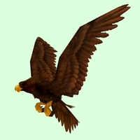 Classic Brown Eagle