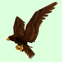 Brown Eagle