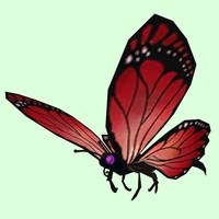 Red Butterfly