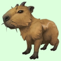 Brown Capybara