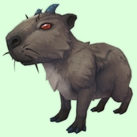 Dark Brown Capybara