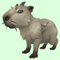 Pale Capybara