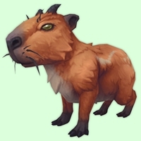 Red Capybara
