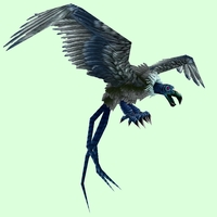 Classic Blue Vulture
