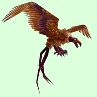 Classic Brown Vulture