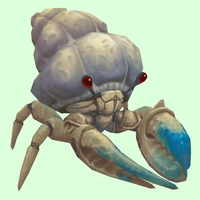 Blue & White Hermit Crab w/ Plain Shell