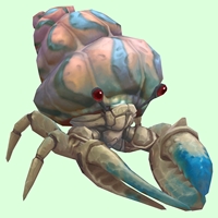 Blue & White Hermit Crab w/ Pale Orange & Blue Shell