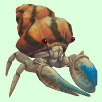 Blue & White Hermit Crab w/ Orange & Black Shell