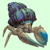 Blue & White Hermit Crab w/ Purple & Green Shell