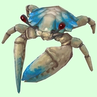 Blue & White Crab