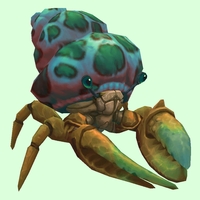 Bronze Hermit Crab w/ Green-Spotted Teal Shell