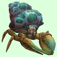 Bronze Hermit Crab w/ Green-Spotted Teal Shell