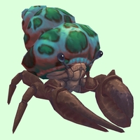 Brown Hermit Crab w/ Green-Spotted Teal Shell