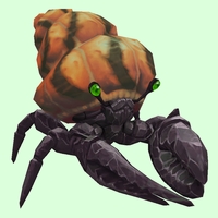 Onyx & Emerald Hermit Crab w/ Orange & Black Shell