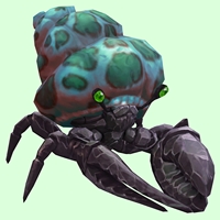 Onyx & Emerald Hermit Crab w/ Green-Spotted Teal Shell