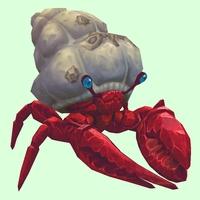 Ruby & Sapphire Hermit Crab w/ Barnacled Shell