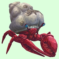 Ruby & Sapphire Hermit Crab w/ Barnacled Shell