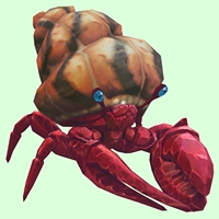 Ruby & Sapphire Hermit Crab w/ Orange & Black Shell