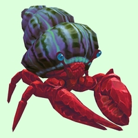 Ruby & Sapphire Hermit Crab w/ Purple & Green Shell
