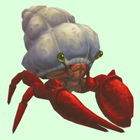 Red Hermit Crab w/ Plain Shell