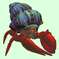 Red Hermit Crab w/ Purple & Green Shell