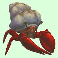 Red Hermit Crab w/ Sandy Shell