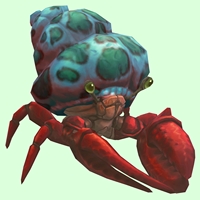 Red Hermit Crab w/ Green-Spotted Teal Shell