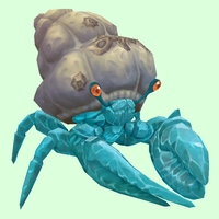 Diamond Hermit Crab w/ Barnacled Shell