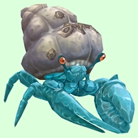 Diamond Hermit Crab w/ Barnacled Shell