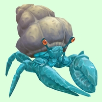 Diamond Hermit Crab w/ Plain Shell