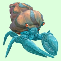 Diamond Hermit Crab w/ Orange & Blue Shell
