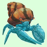 Diamond Hermit Crab w/ Orange & Black Shell