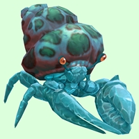 Diamond Hermit Crab w/ Green-Spotted Teal Shell