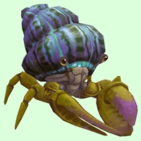 Green & Purple Hermit Crab w/ Purple & Green Shell