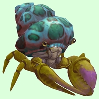 Green & Purple Hermit Crab w/ Green-Spotted Teal Shell