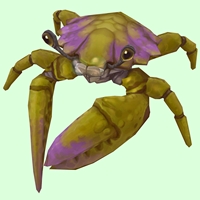 Green & Purple Crab