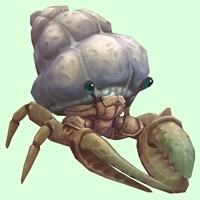 Ivory Hermit Crab w/ Plain Shell