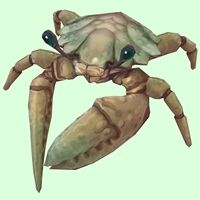 Ivory Crab