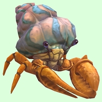 Orange Hermit Crab w/ Pale Orange & Blue Shell