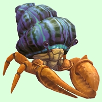 Orange Hermit Crab w/ Purple & Green Shell