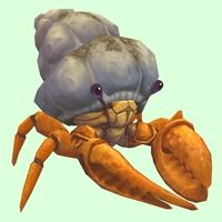 Orange Hermit Crab w/ Sandy Shell