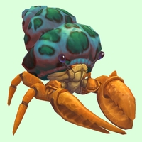 Orange Hermit Crab w/ Green-Spotted Teal Shell