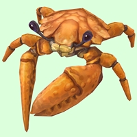 Orange Crab